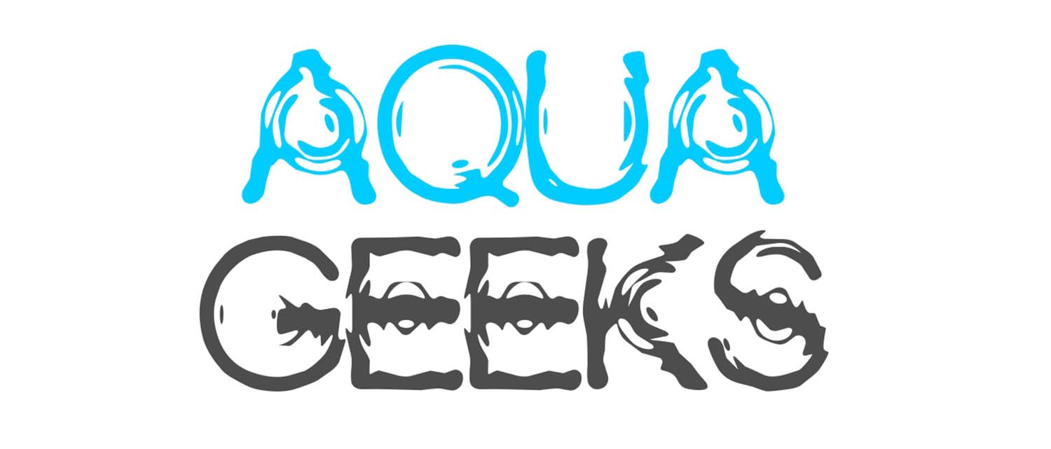 Aqua Geeks square logo variation